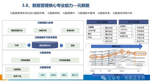 构建高效数据处理服务体系 XX集团数据治理体系建设方案